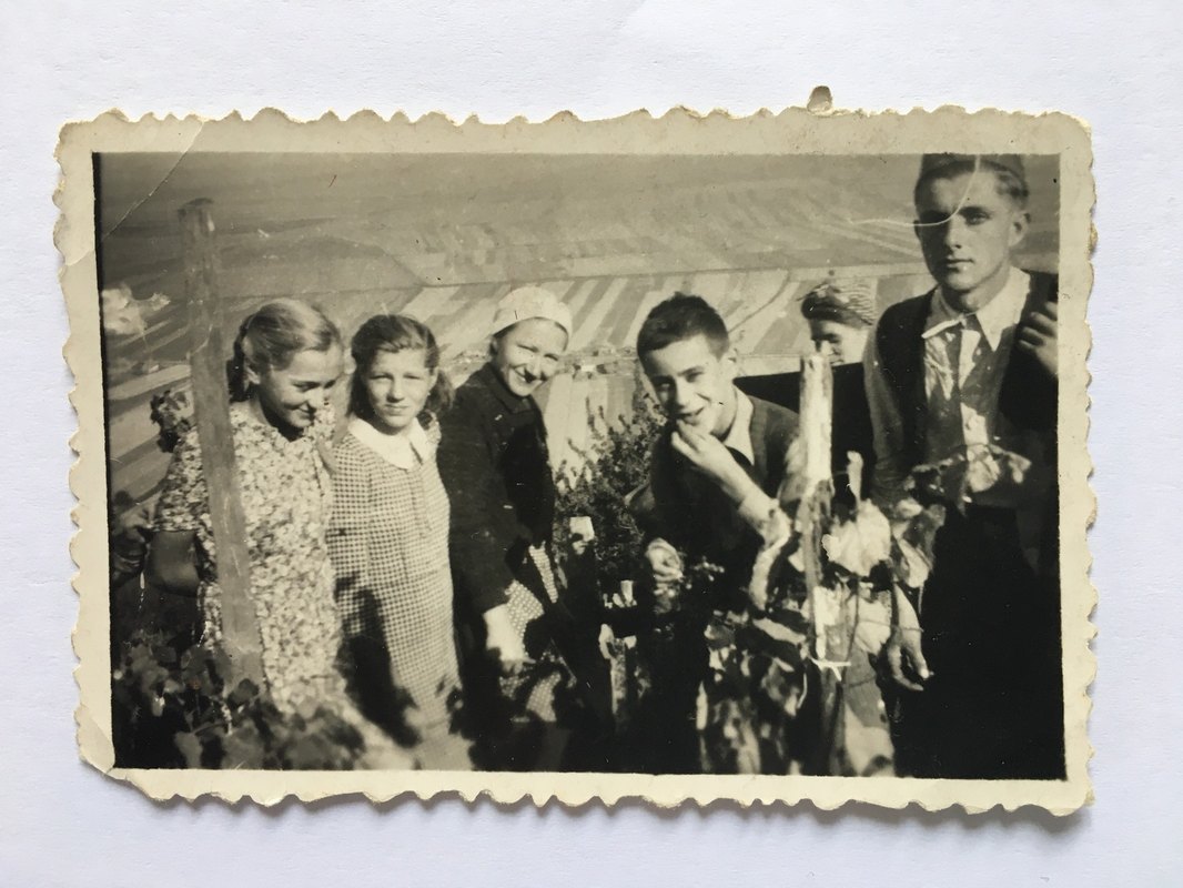 Ochrana vlastníckych práv investorov