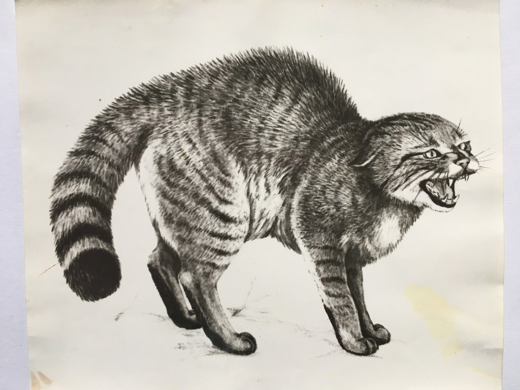 Detské dáta v školskom prostredí: Súhlas, fotografovanie a publikovanie v zmysle GDPR