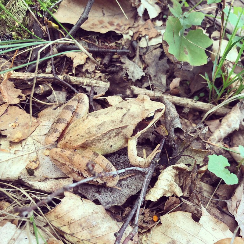 Zastavenie proti vetru