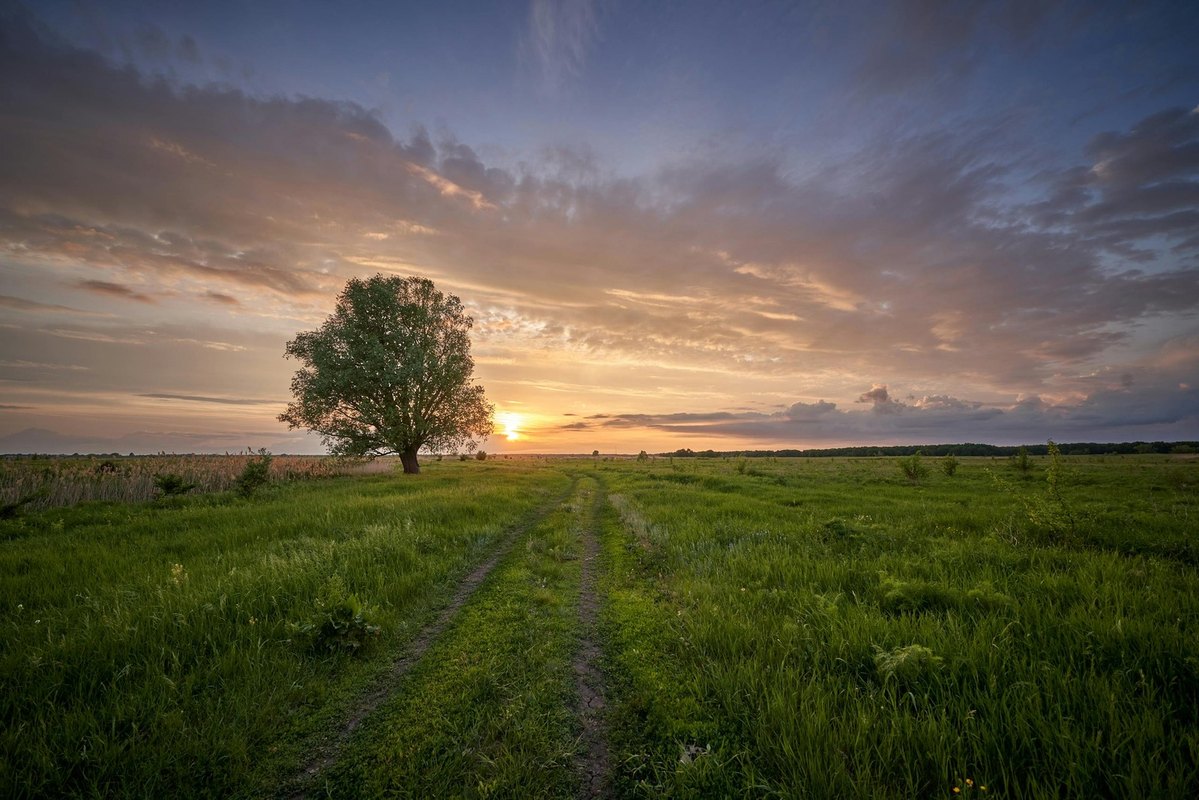 Ako platformy bez KYC menia prístup k obchodovaniu s kryptomenami v Európe