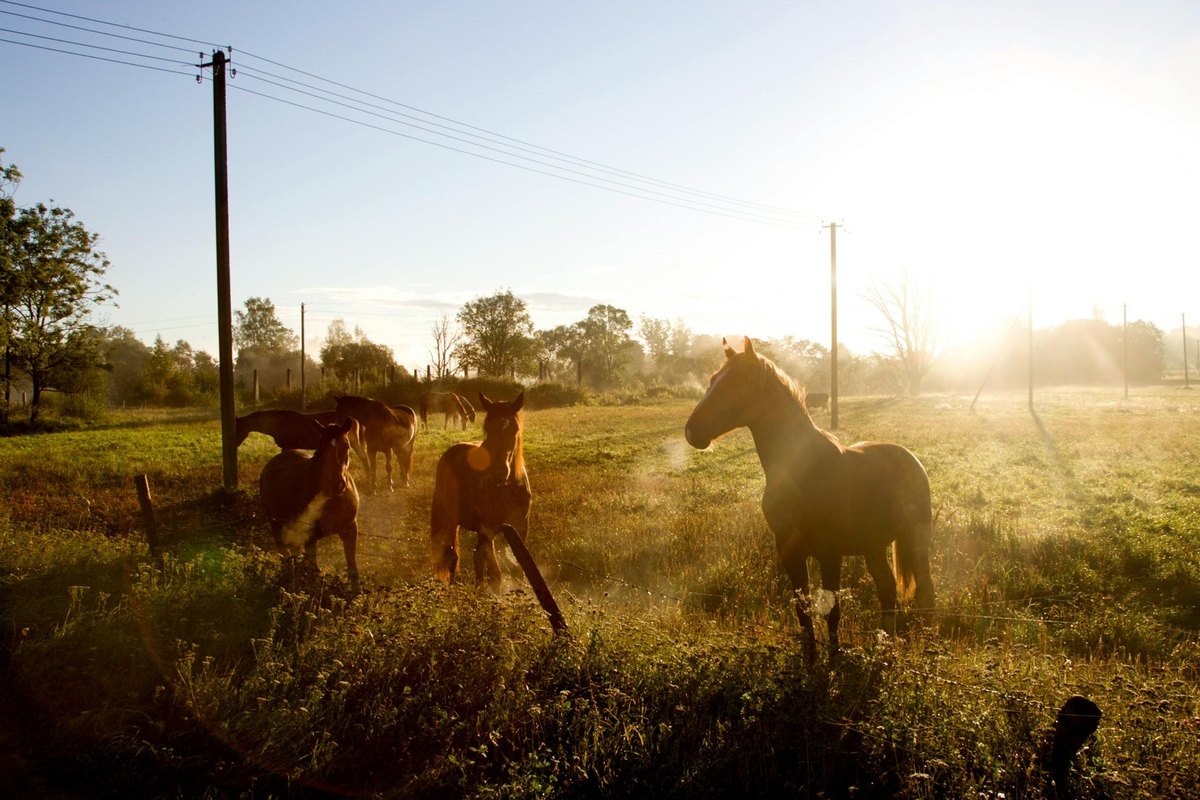 VR v průmyslu a vzdělávání