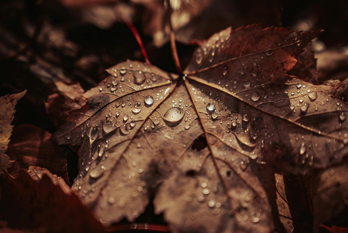 Meranie uhlíkovej stopy značiek