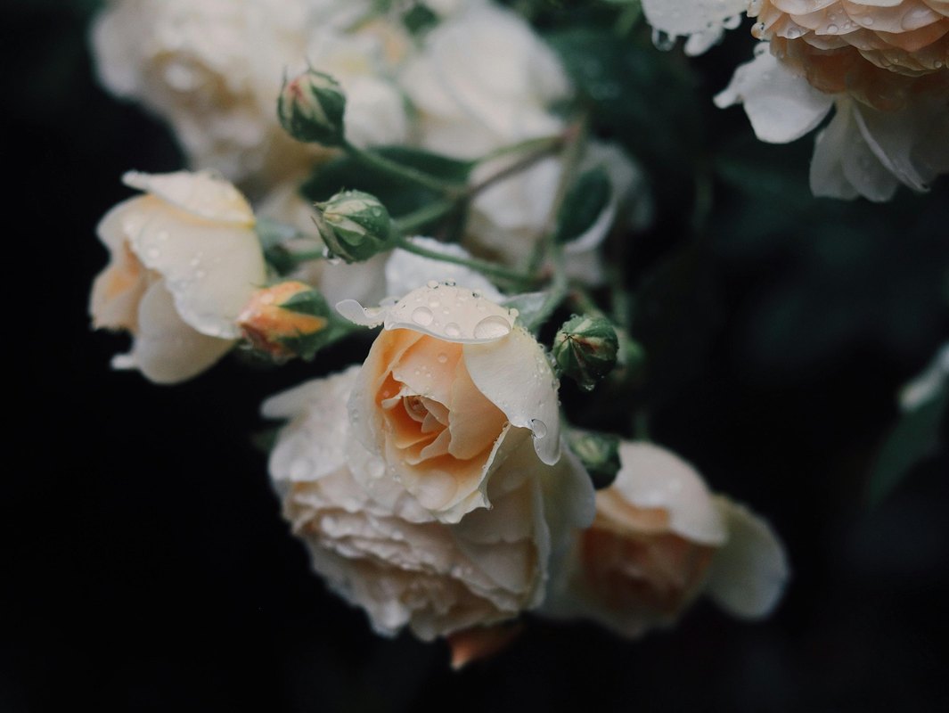 Exit stratégia a archív