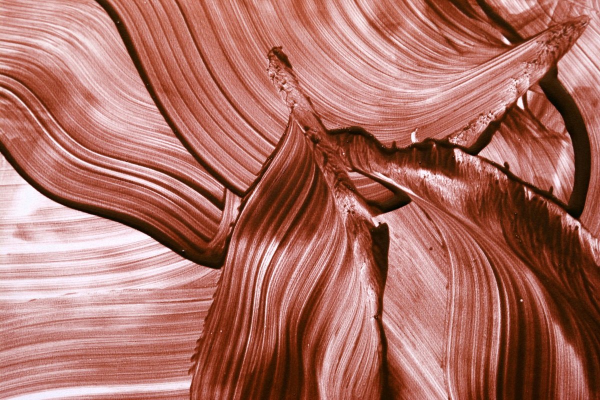 Vzťah anatómie a fyziológie v medicíne: Štruktúra a funkcia v klinickom kontexte