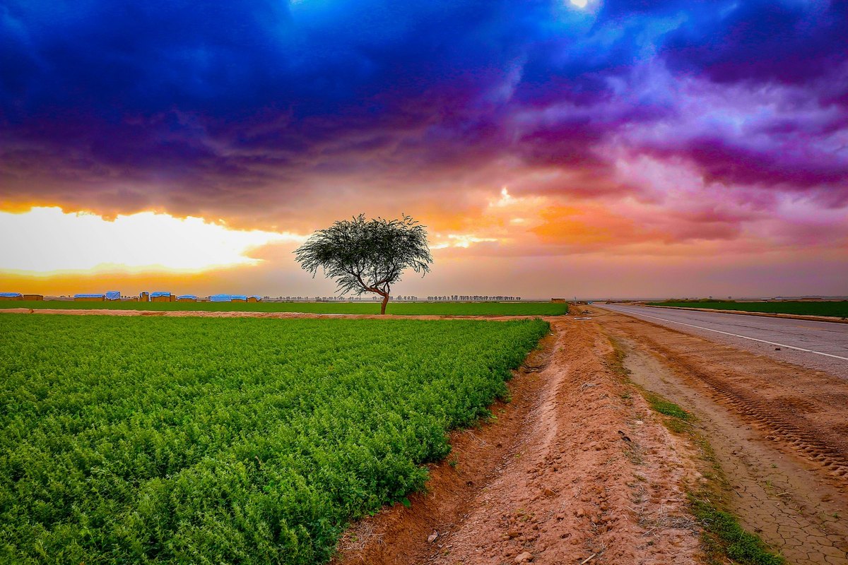 Umenie virtuálnej a rozšírenej reality: Imersívne zážitky a nové dimenzie priestoru