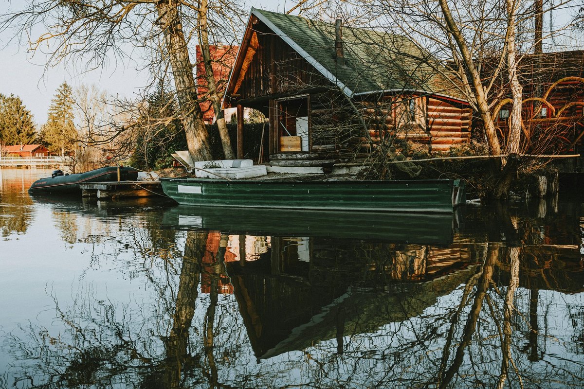 Umenie a politika: Vzájomný vzťah umenia a politiky