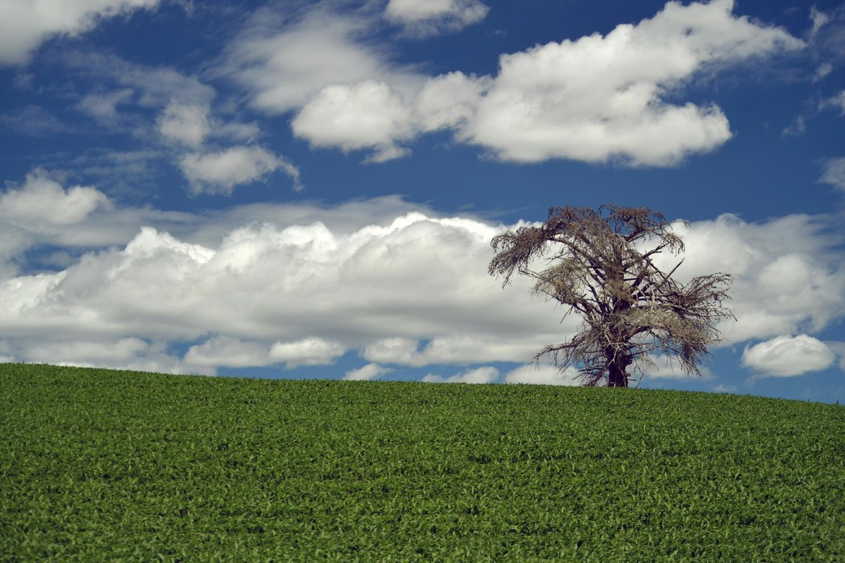Self-help vs. terapia: jasný rozcestník a etické hranice medzi oboma prístupmi