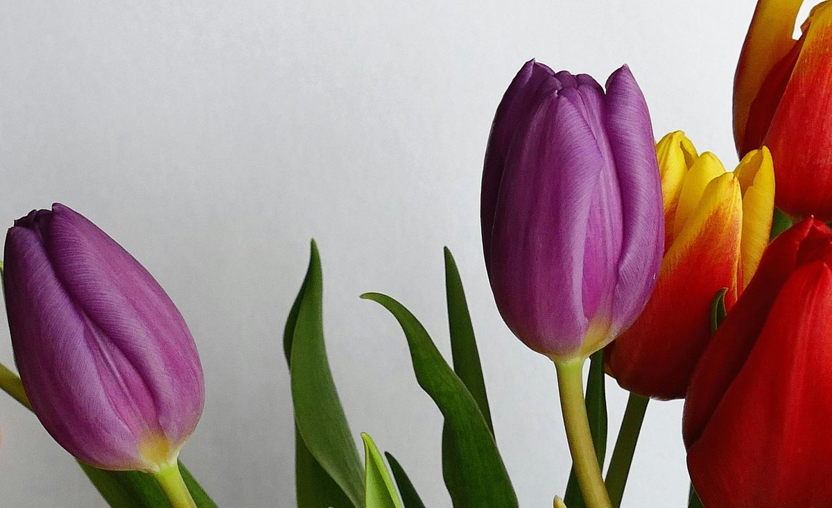 Lab hacky: rezervácie, príprava vopred a otázky pre rýchlejší priebeh