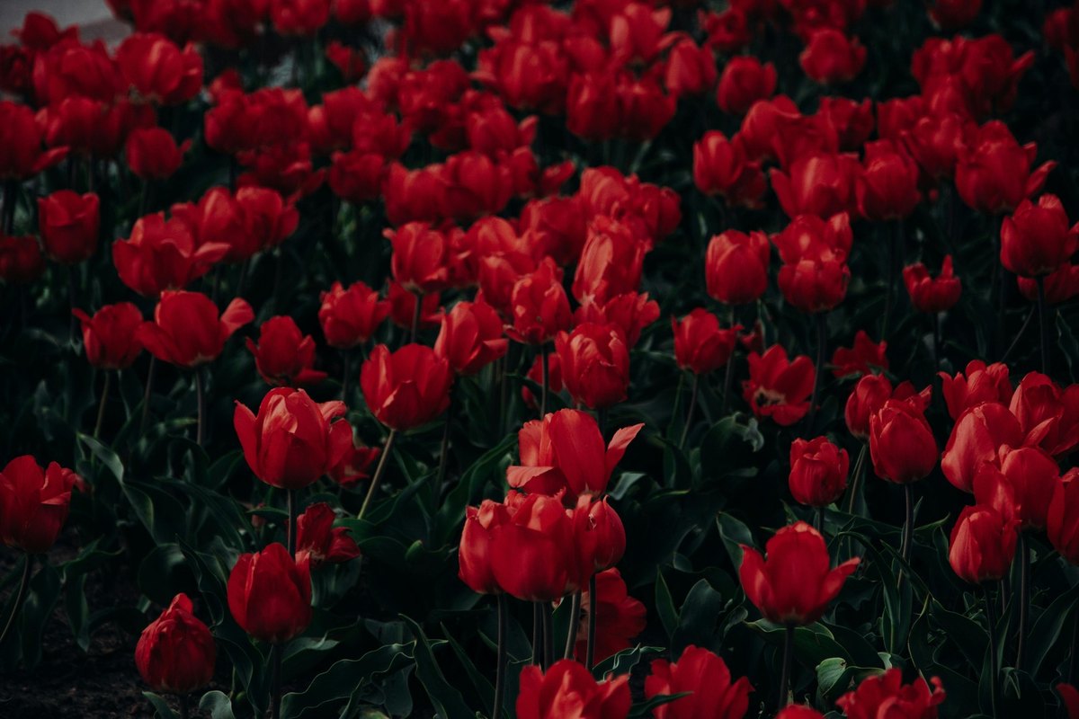 Outdoorové aktivity: Turistika, cyklistika, plávanie