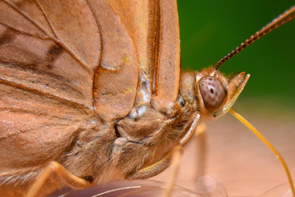 E-commerce intímnych pomôcok