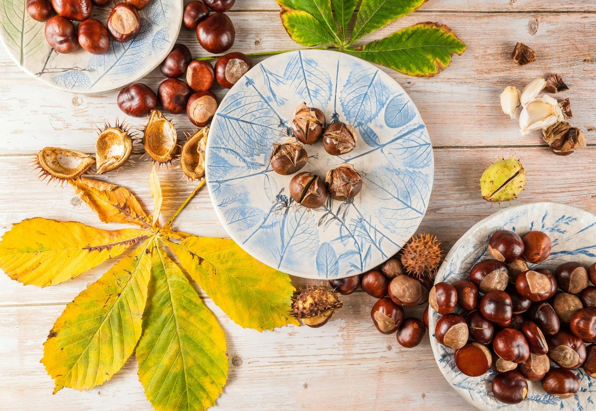 INCREDIBLE INDIA yoga retreat s Lenkou & Lucií