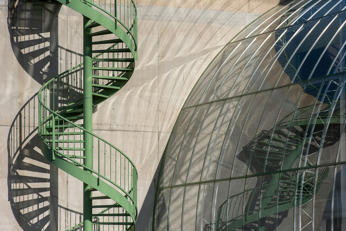 Pestovanie zeleniny v ekologických podmienkach: Tipy pre začiatočníkov