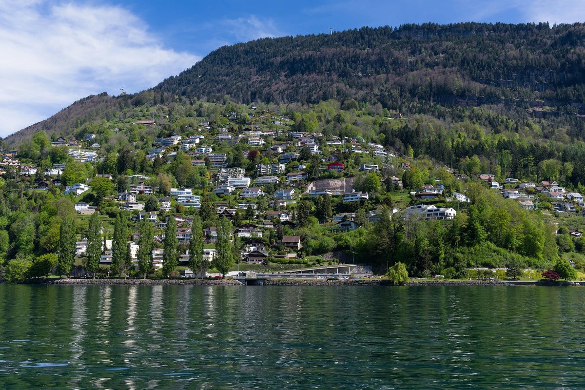 Leitmotívy vo filme