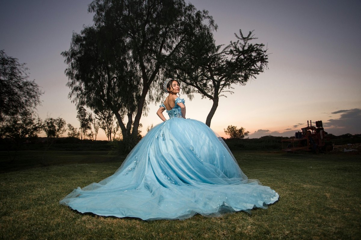 Rybičky: Akvárium, výber rýb, starostlivosť o akvárium