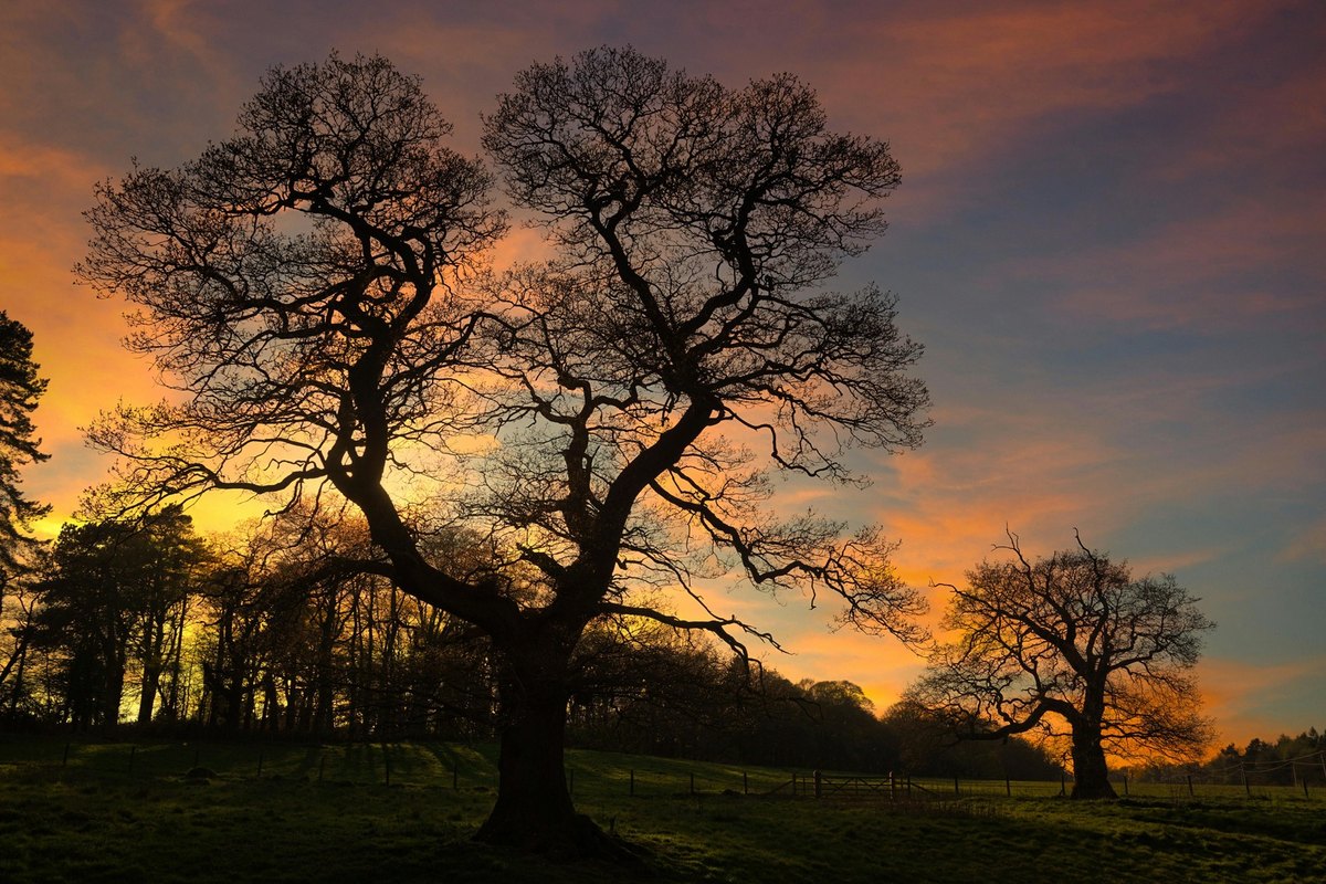 Uplatnenie práva na vymazanie údajov
