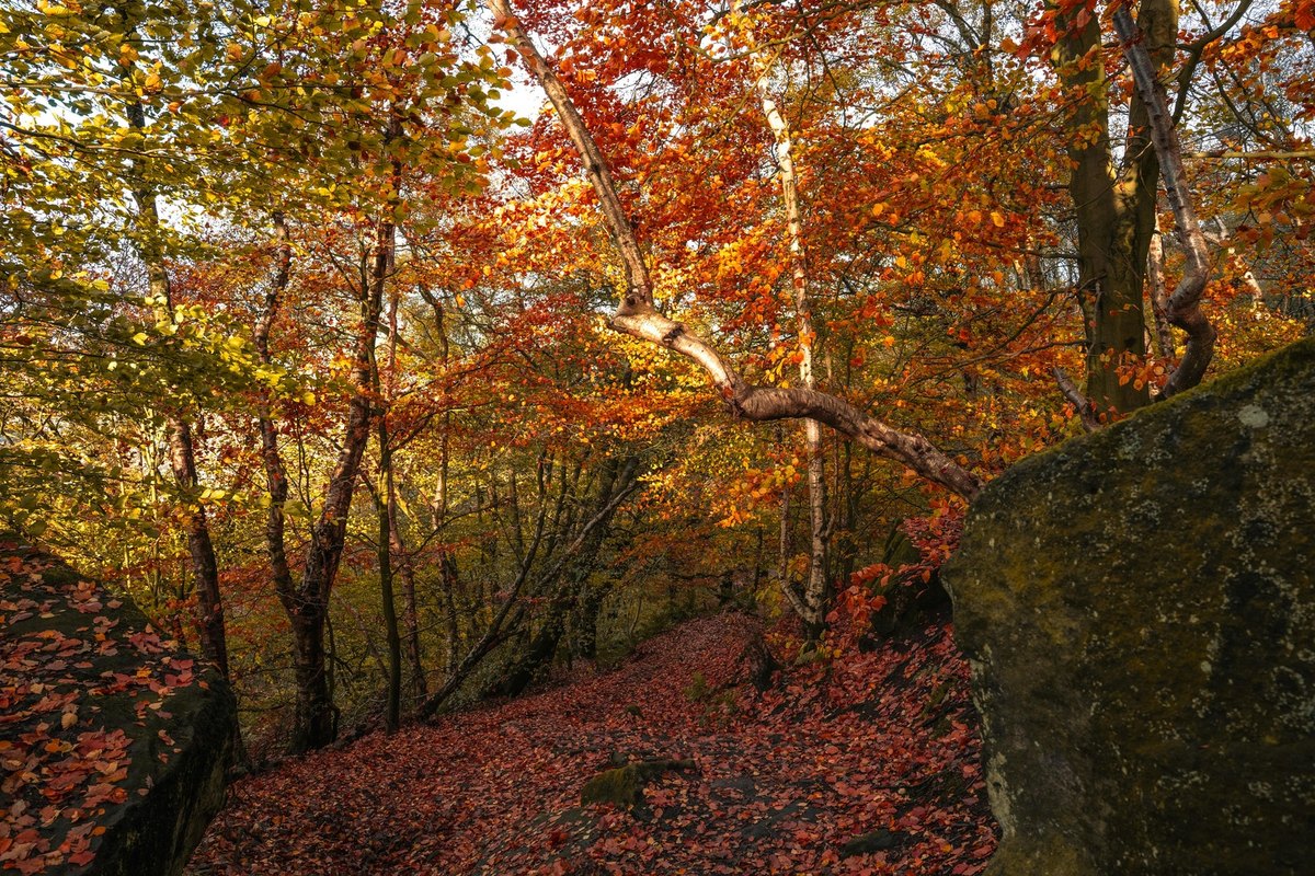 Automatická garážová vrata typy