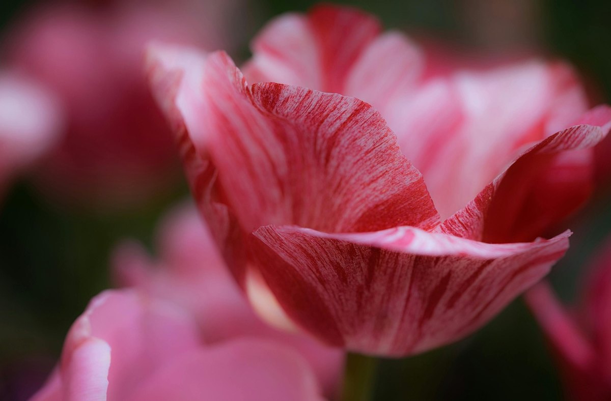 Meranie akvizície: Analýza návštevnosti a konverzií plynúcich z blogu
