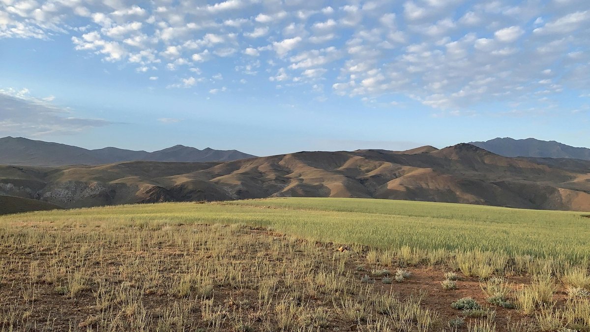 Reziliencia budov: Stratégie tienenia, prirodzeného vetrania proti klimatickým zmenám