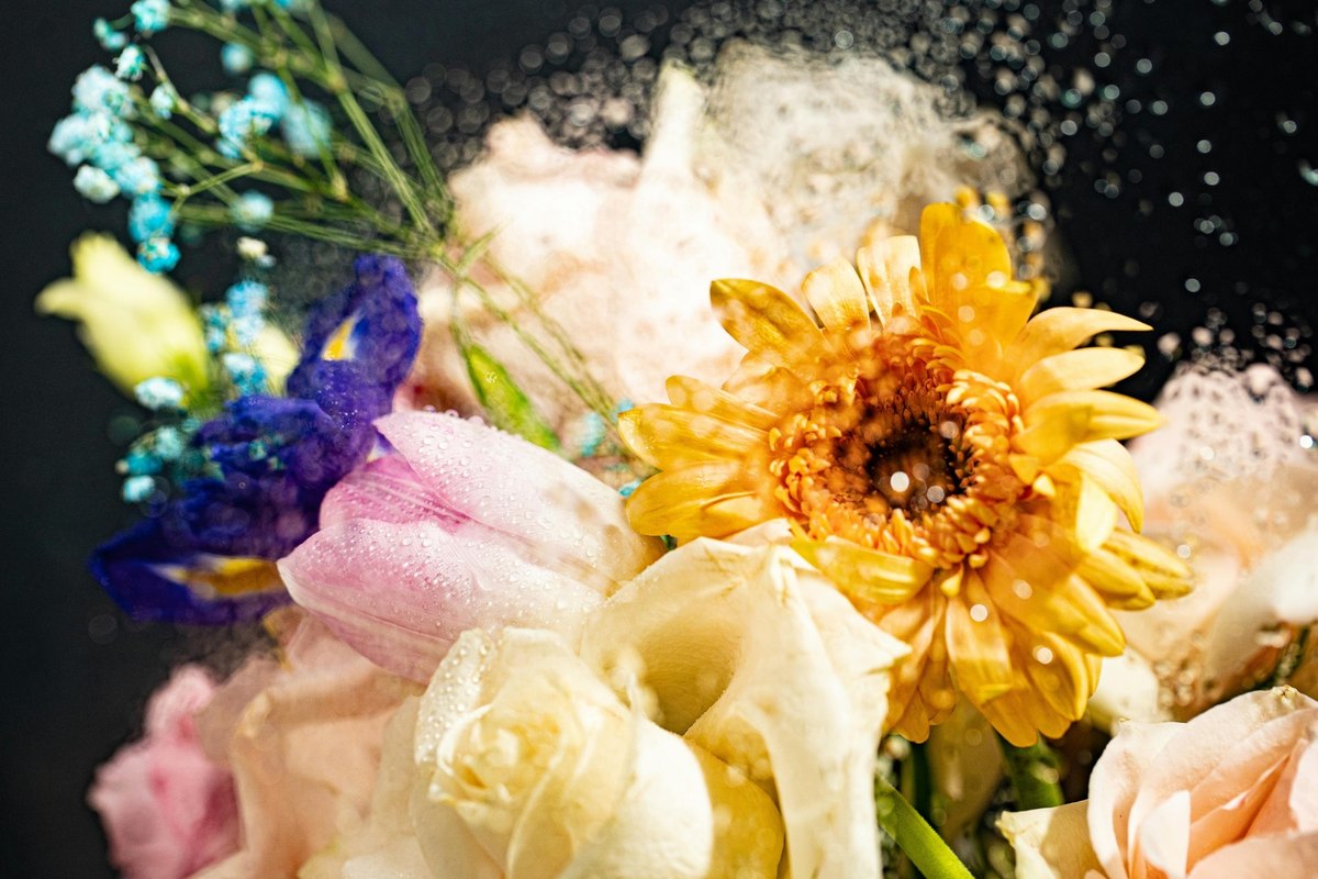 Najčastejšie pravopisné chyby a ich korekcia: Diagnostika a prevencia