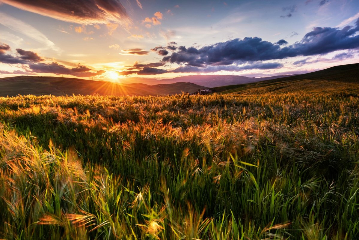Slovenské nárečia a dialektológia