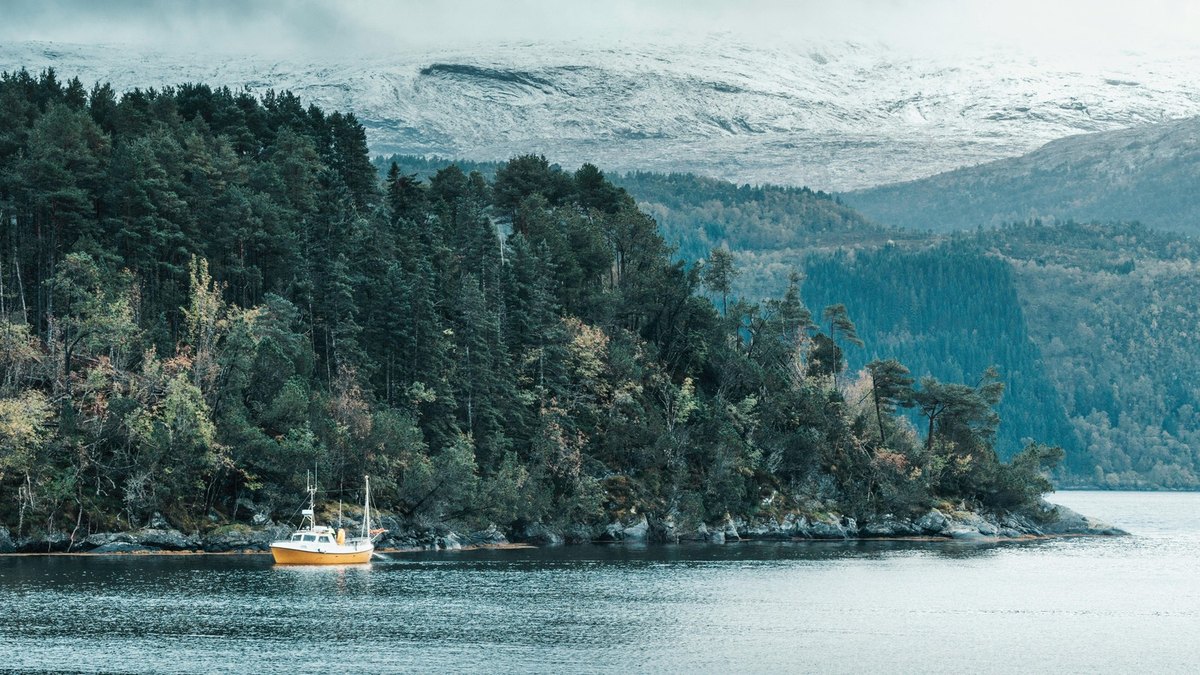 Klimatická adaptácia budov: tienenie, vetranie, materiály