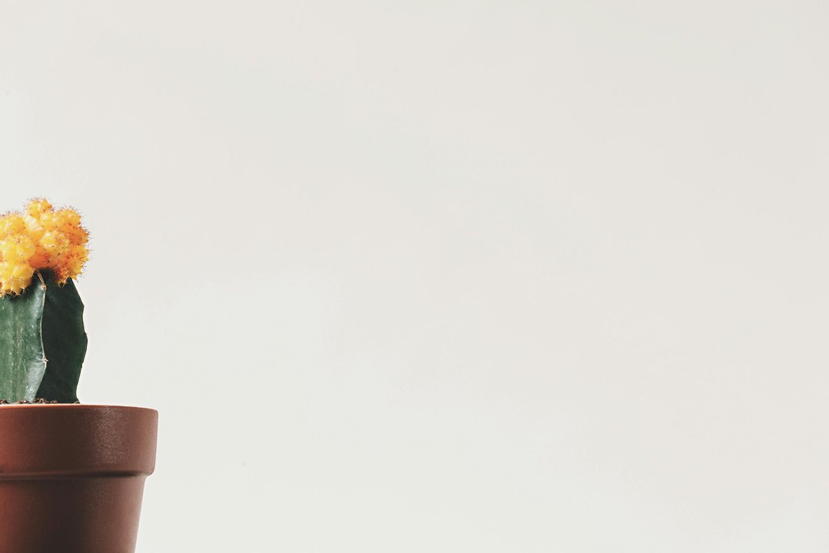 Randenie po tridsiatke/štyridsiatke/päťdesiatke: čo sa mení