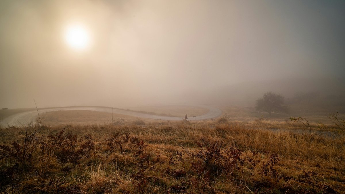 Digitálne líderstvo: Digitálne líderstvo a kultúra inovácií