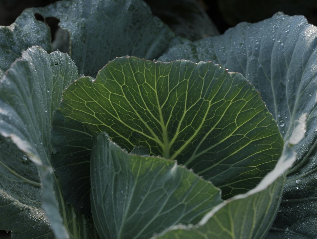 Transmedia: Jeden svet, mnoho kanálov