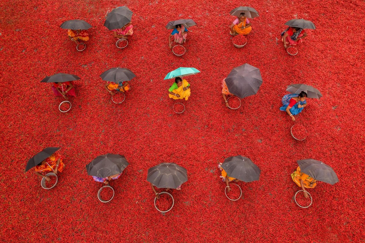 Vplyv stresu na imunitu a srdce: Kardiovaskulárne riziko a imunomodulácia