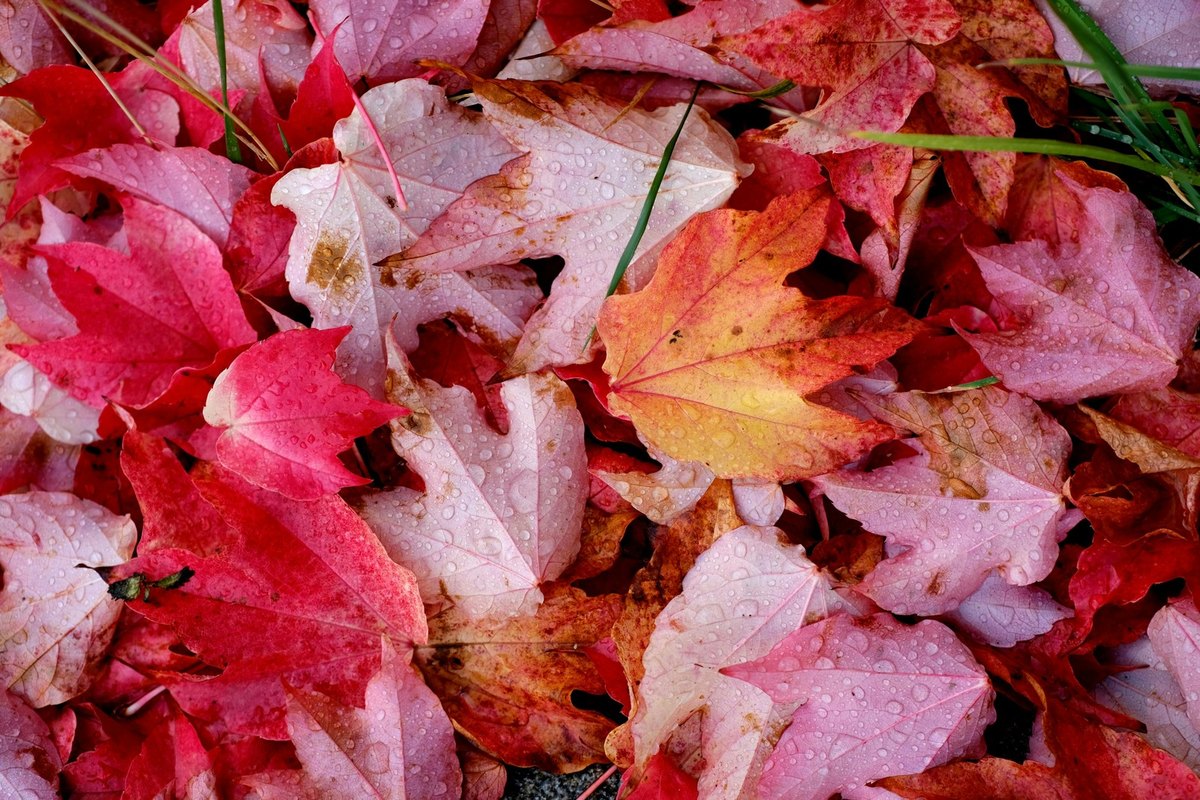 Experimentálny prístup: A/B testovanie a experimentálne metódy v CRO