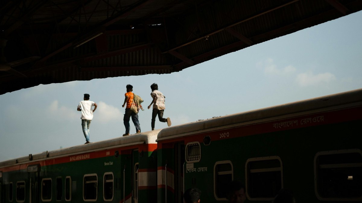 Forest bathing (shinrin-yoku)