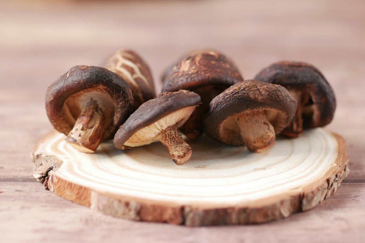 Americká literatúra