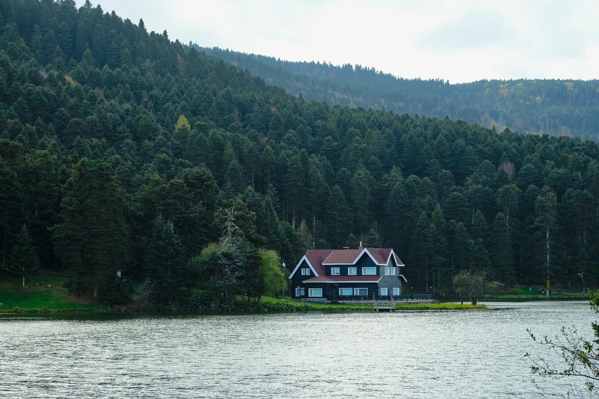 Zlučovanie a štiepenie obsahu