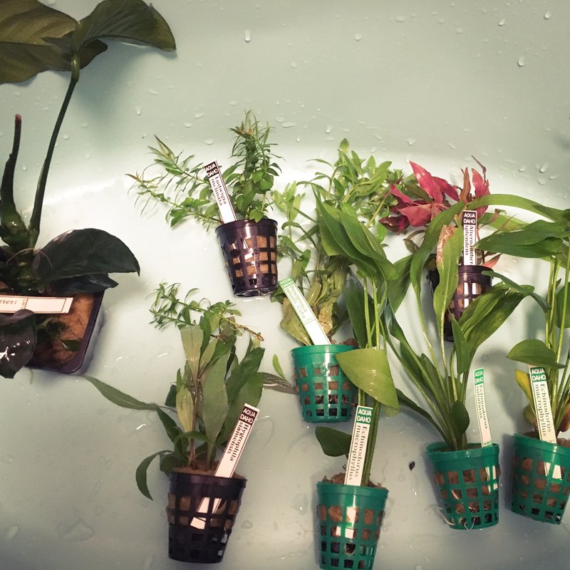 Makrocyklus, mikrocyklus a sezónne plánovanie: Periodizácia pre vrcholový výkon