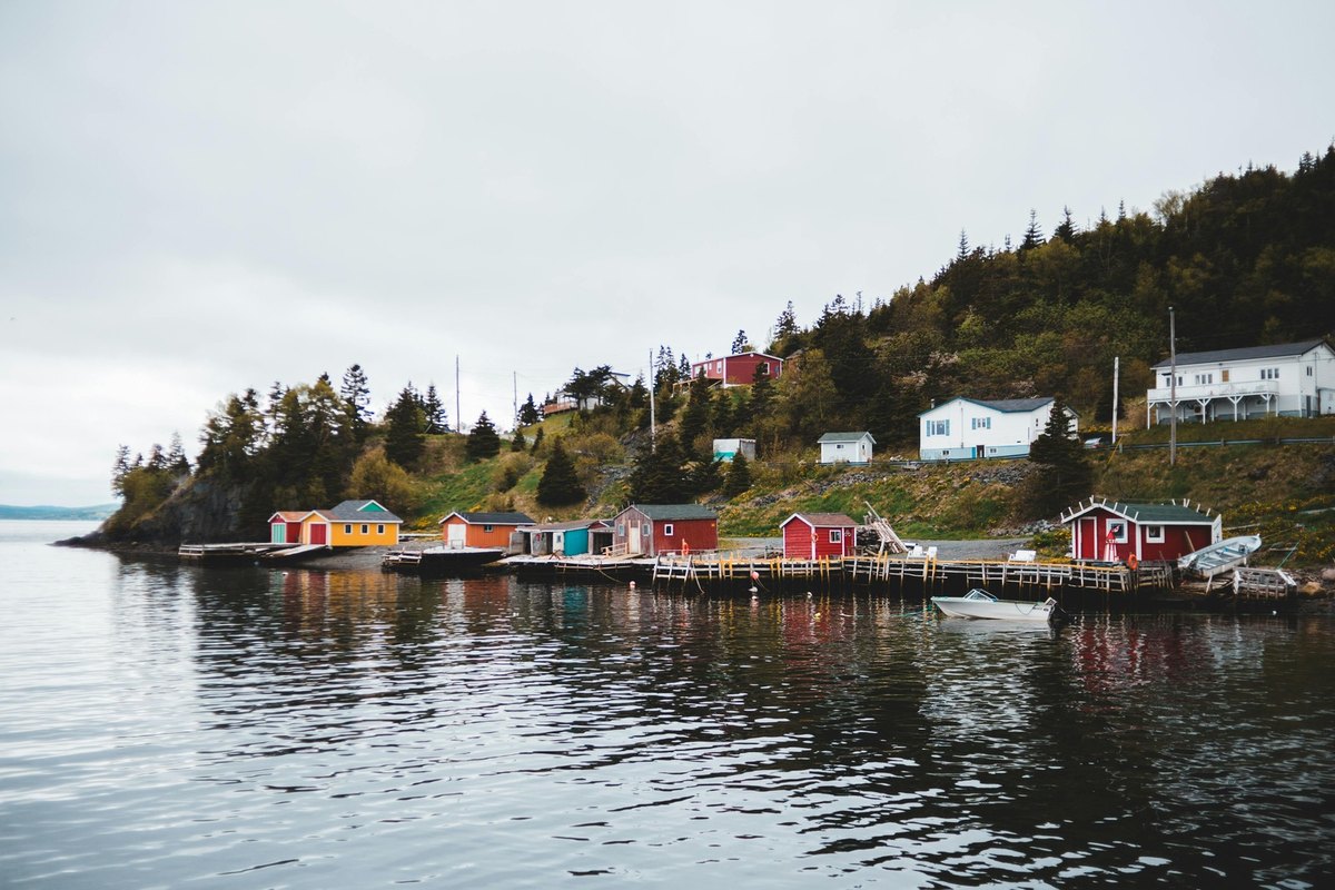 Komunikačné situácie a funkcie jazyka: Pragmatika a ciele komunikácie