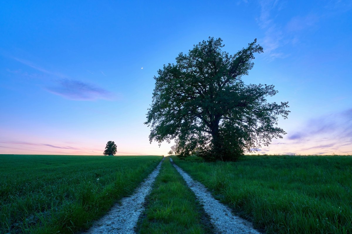 Ako rozpoznať hoax alebo dezinformáciu? Praktické tipy a triky