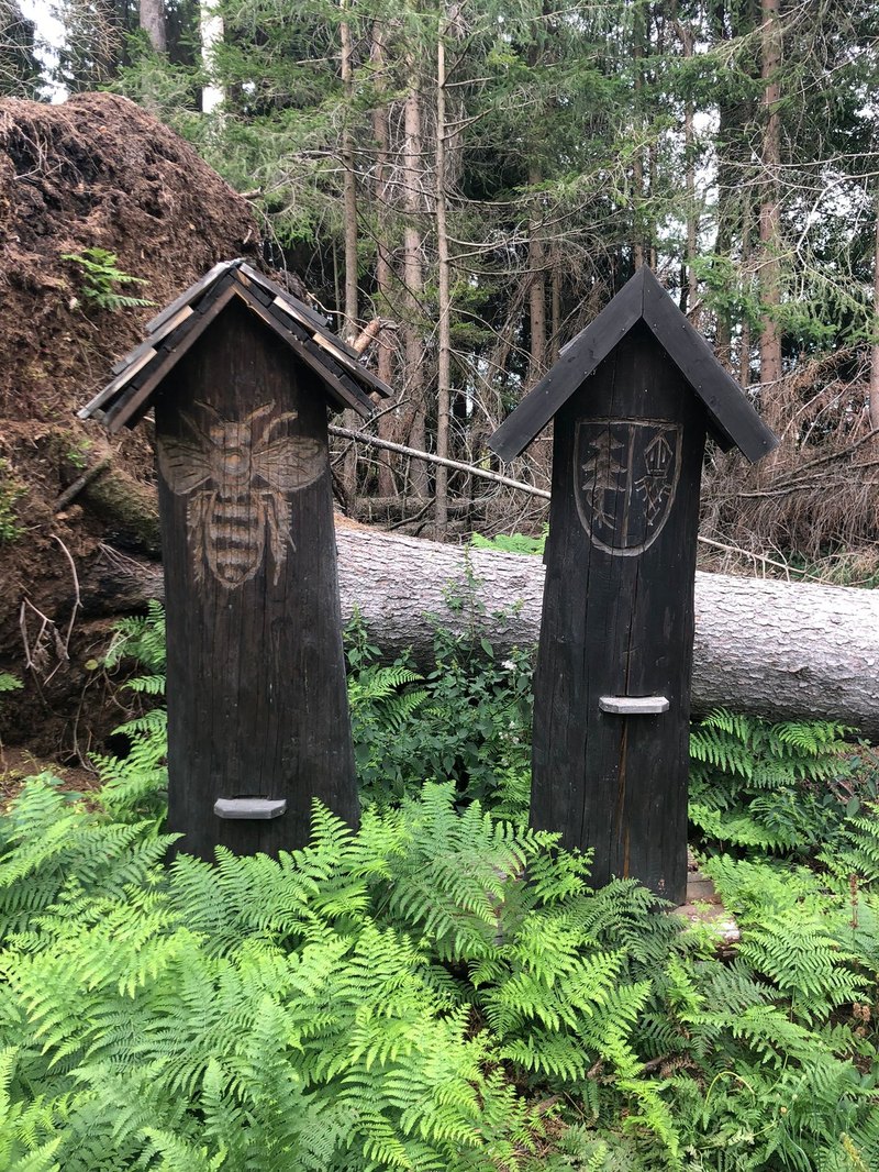 Kúpele: Relaxačné pobyty, liečebné procedúry