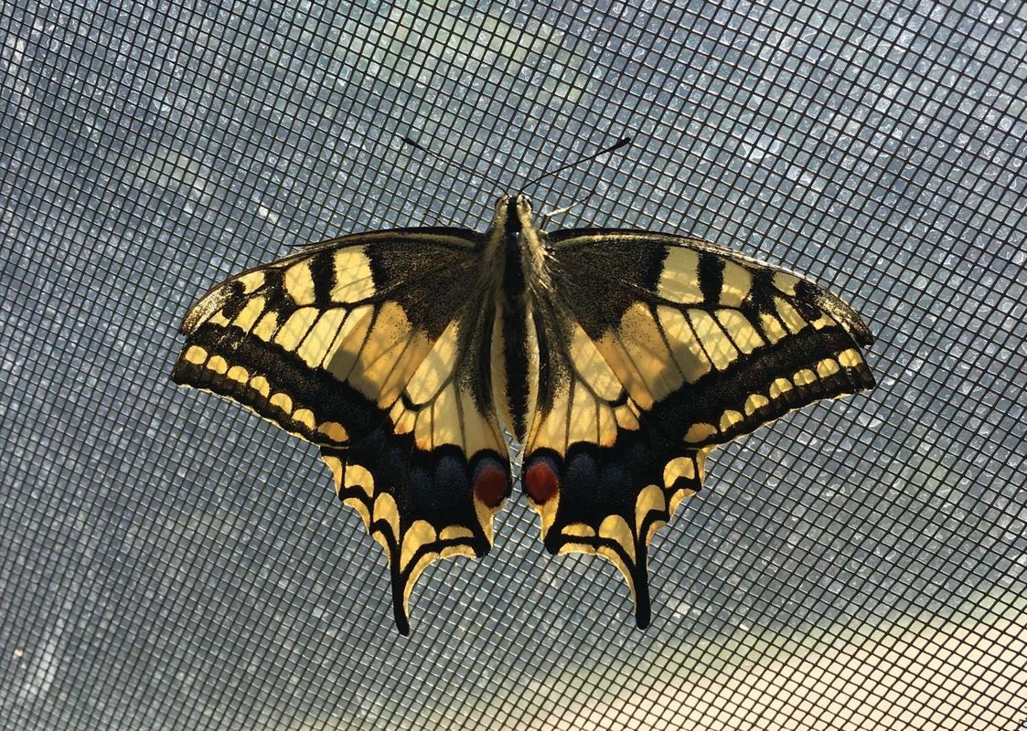 Etika A/B testovania