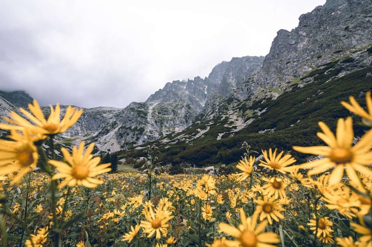 Centimetrová presnosť: Fúzia GNSS/RTK s vizuálnou odometriou pre robustné polohovanie